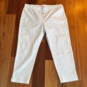 NWT Eileen Fisher cropped pants